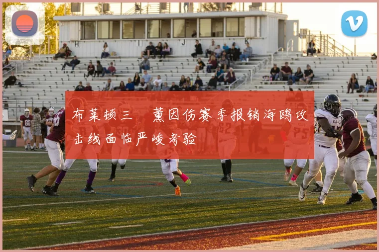 布莱顿三笘薰因伤赛季报销海鸥攻击线面临严峻考验