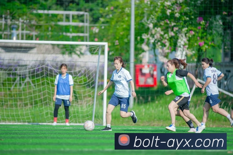 App Interface Preview