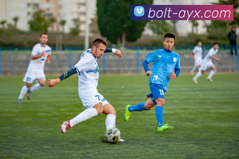 爱游戏APP 封面图