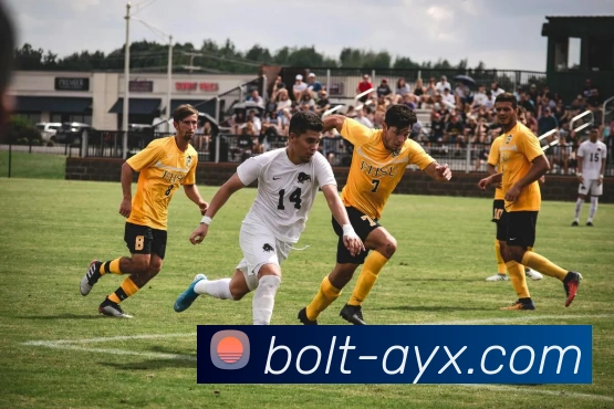 数据防护可视化